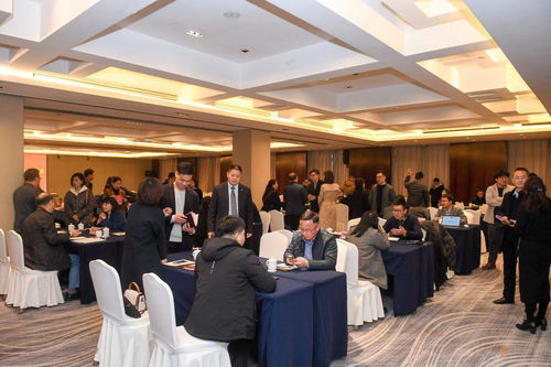 全市科技人才工作會及外國人才中介機構(gòu)對接活動在桐舉行