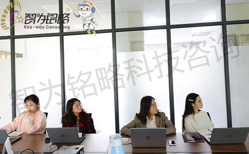 2021年蘇州高新技術(shù)企業(yè)申報 財務(wù)審計與研發(fā)管理優(yōu)化及勞務(wù)派遣服務(wù)指南